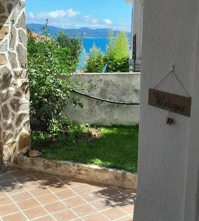 La Cruz Del Sur - 