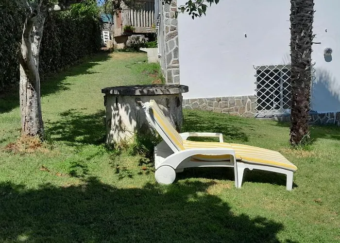 La Cruz Del Sur - 